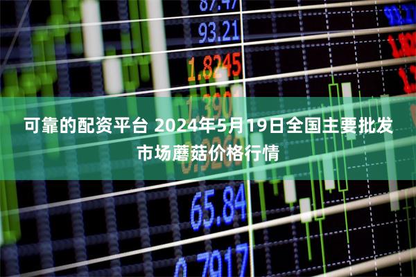 可靠的配资平台 2024年5月19日全国主要批发市场蘑菇价格行情